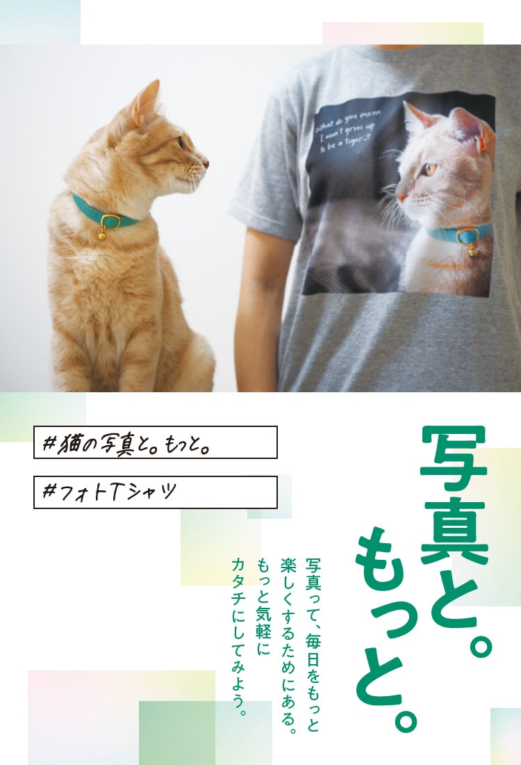1匹の猫と、Tシャツに写真としてプリントされた猫が顔を見合わせている様子。 #猫の写真と。もっと。 #フォトTシャツ