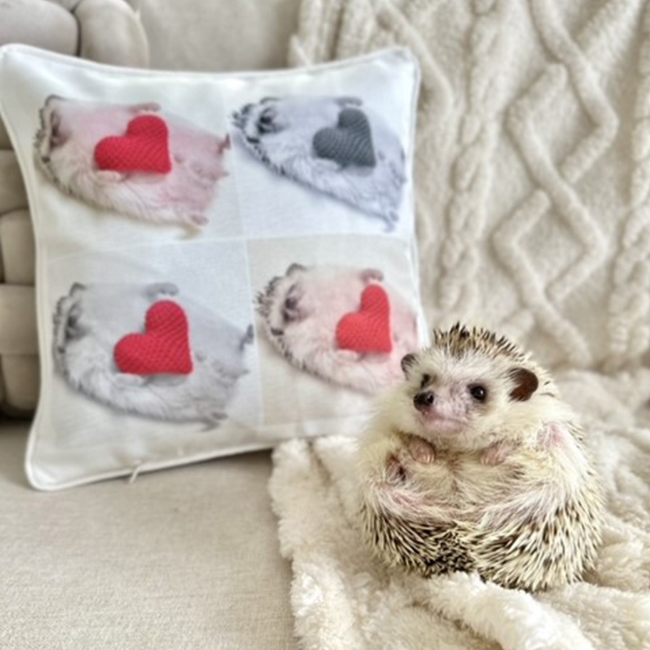 クッション | プリントデイズ by FUJICOLOR | 富士フイルム