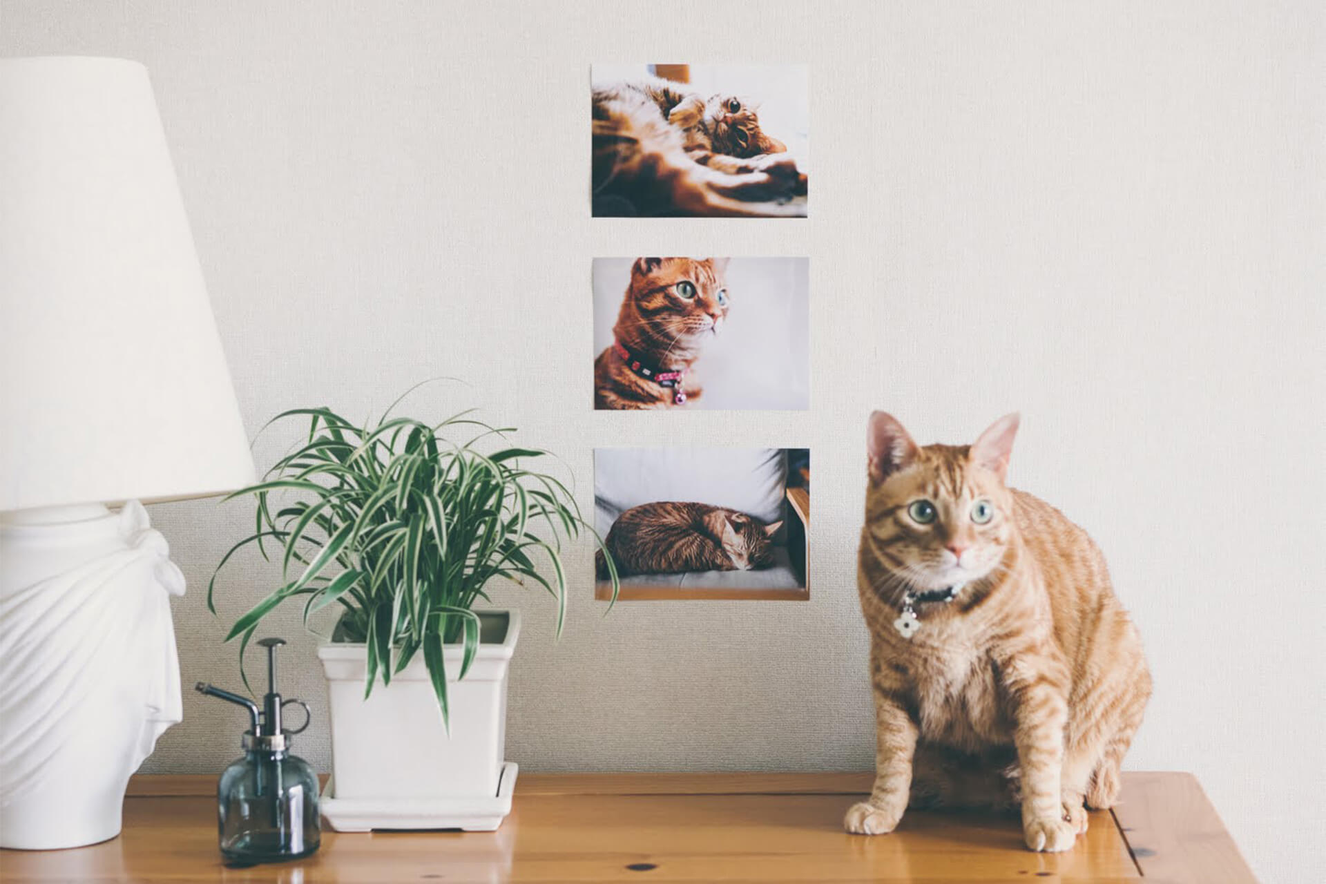 ベッド 写真はイメージです。 ヤークトタイガー中期生産型 タミヤ TAMIYA 1/35 ドイツ重駆逐戦車