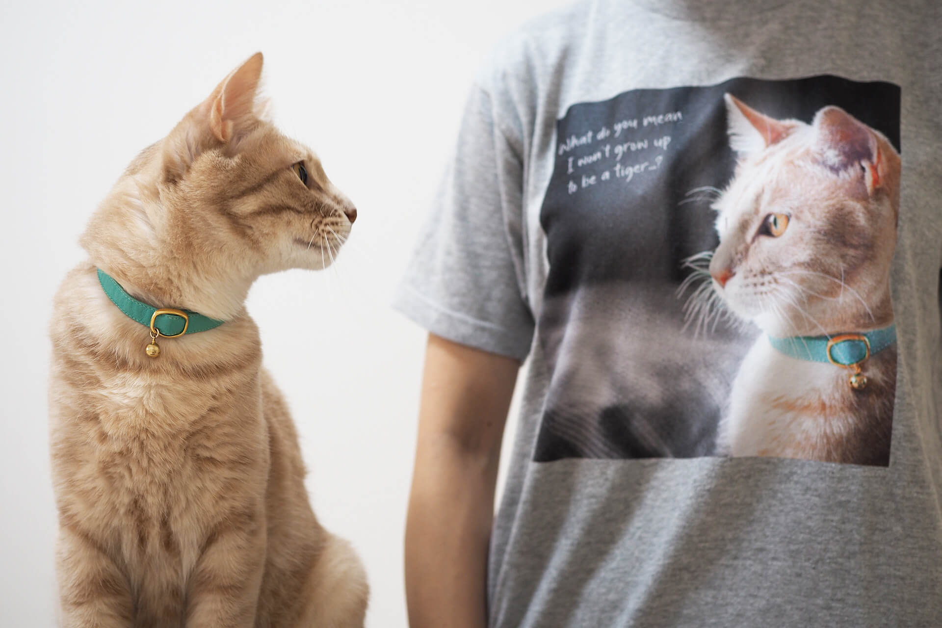 ペットの写真と。もっと。 | プリントデイズ by FUJICOLOR | 富士フイルム