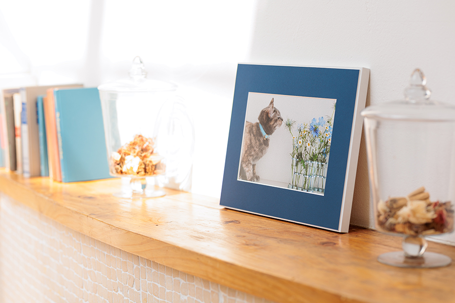 猫の写真も、「WALL DECOR」になることで存在感を持つ