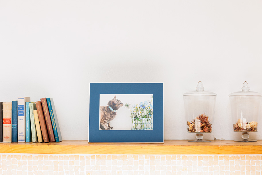 猫のWALL DECORがある部屋