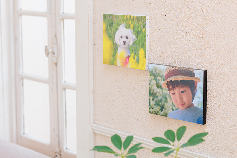 子どもと愛犬のWALL DECORで、あったかい雰囲気に