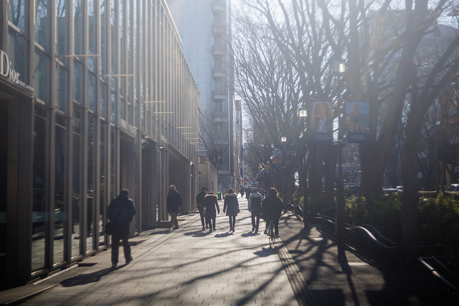 東京・表参道の朝の風景