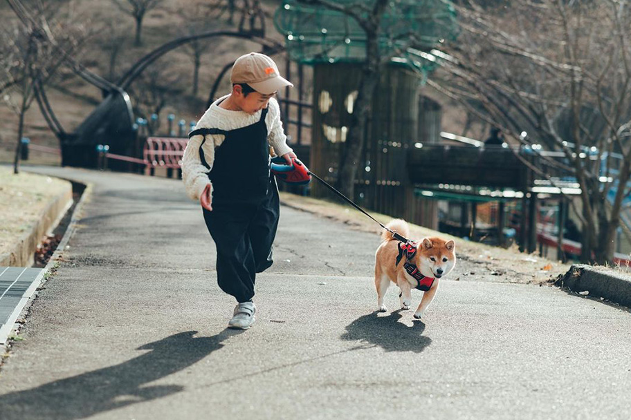 愛犬「八朔くん」と子供が戯れる写真