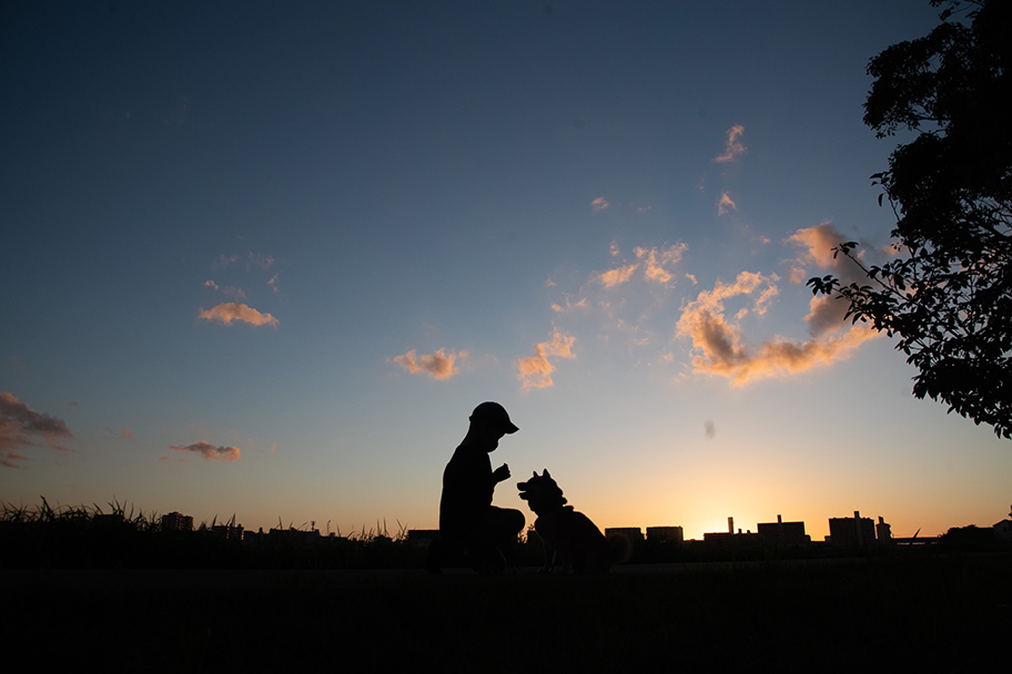 愛犬「八朔くん」と子供が戯れる写真