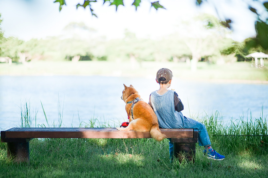 自然に囲まれている愛犬「八朔くん」と子供の写真