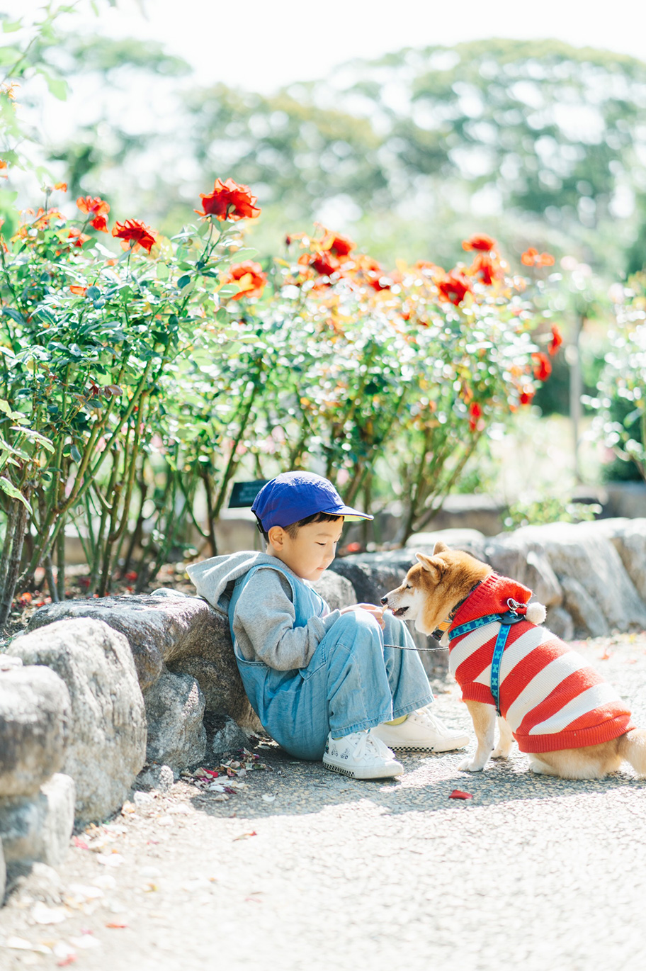 愛犬「八朔くん」と子供の写真