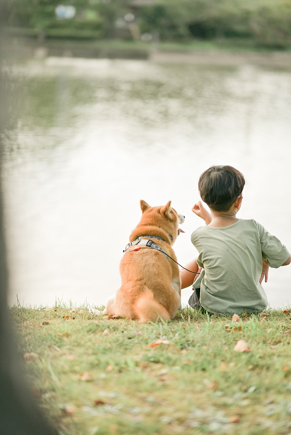 愛犬「八朔くん」と子供の写真