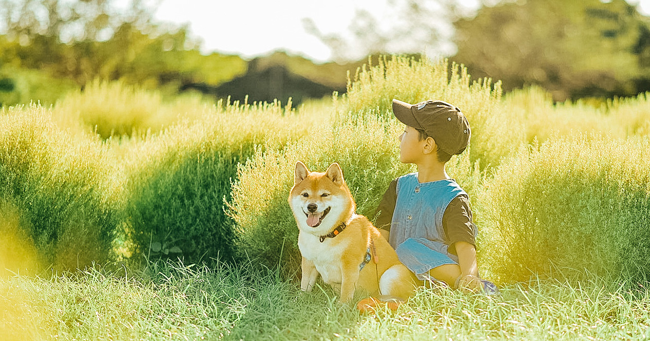 愛犬「八朔」くんと子供が、日に照らされながら芝生の上で座っている写真
