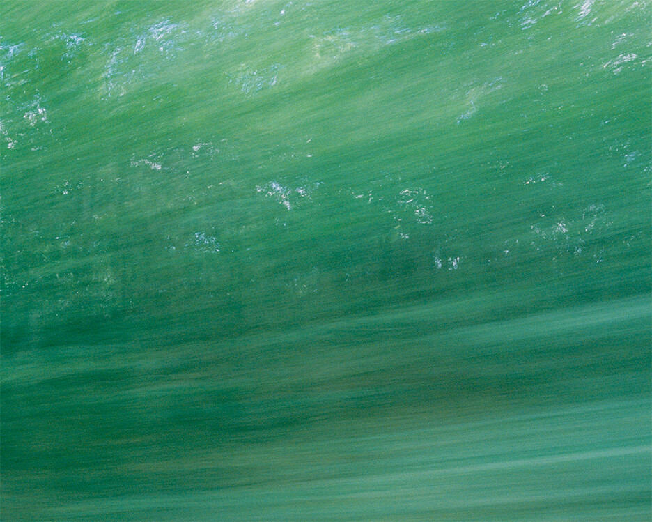 車の車窓から流れる森林の風景