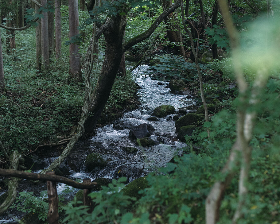 陶芸スタジオの横を流れる川の写真