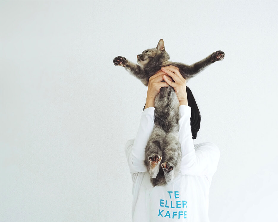 顔の前で猫を抱き抱えるカザワさん