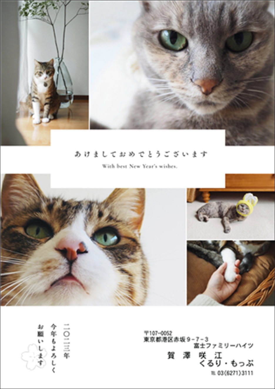 猫の写真がプリントされた年賀状