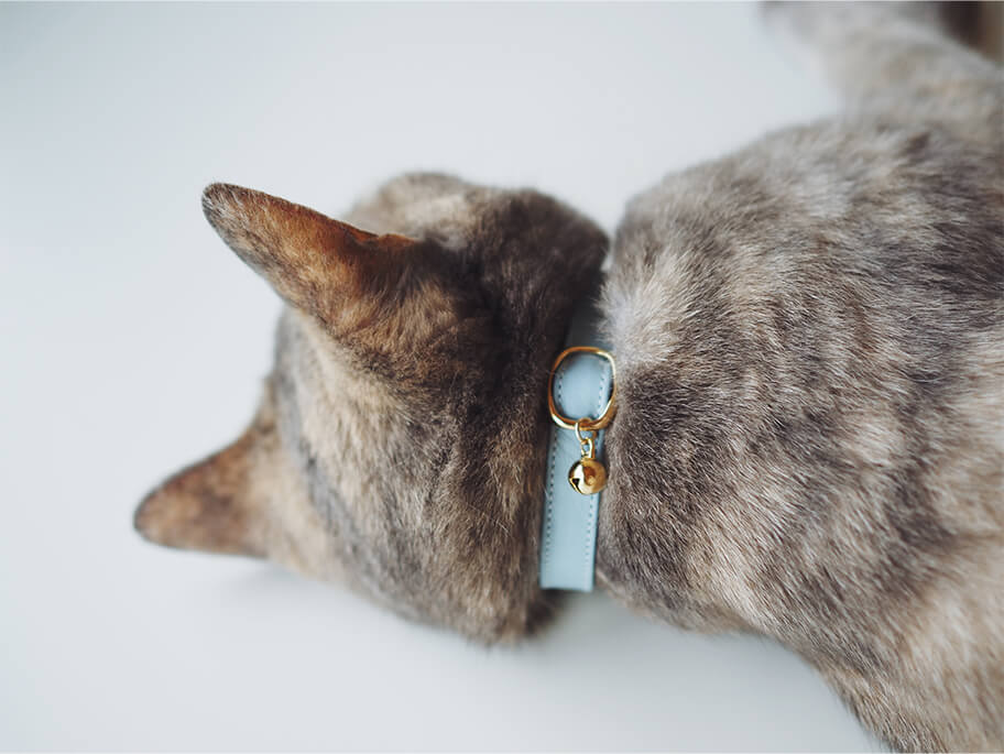 猫のうしろ姿