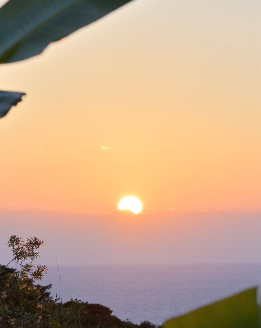 海と太陽を収めた写真