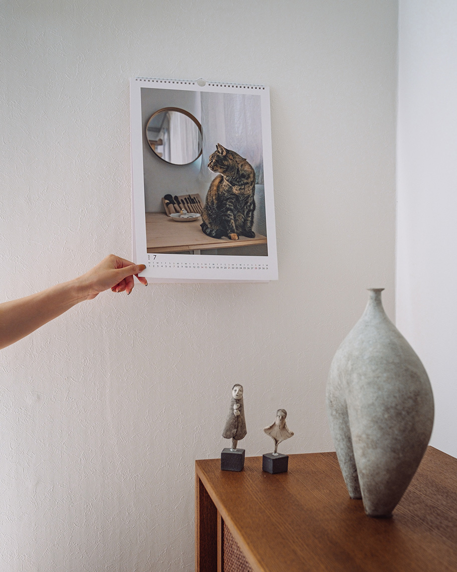 Amazon.com: TURNER PHOTOGRAPHIC Cats 12X12 Photo Wall