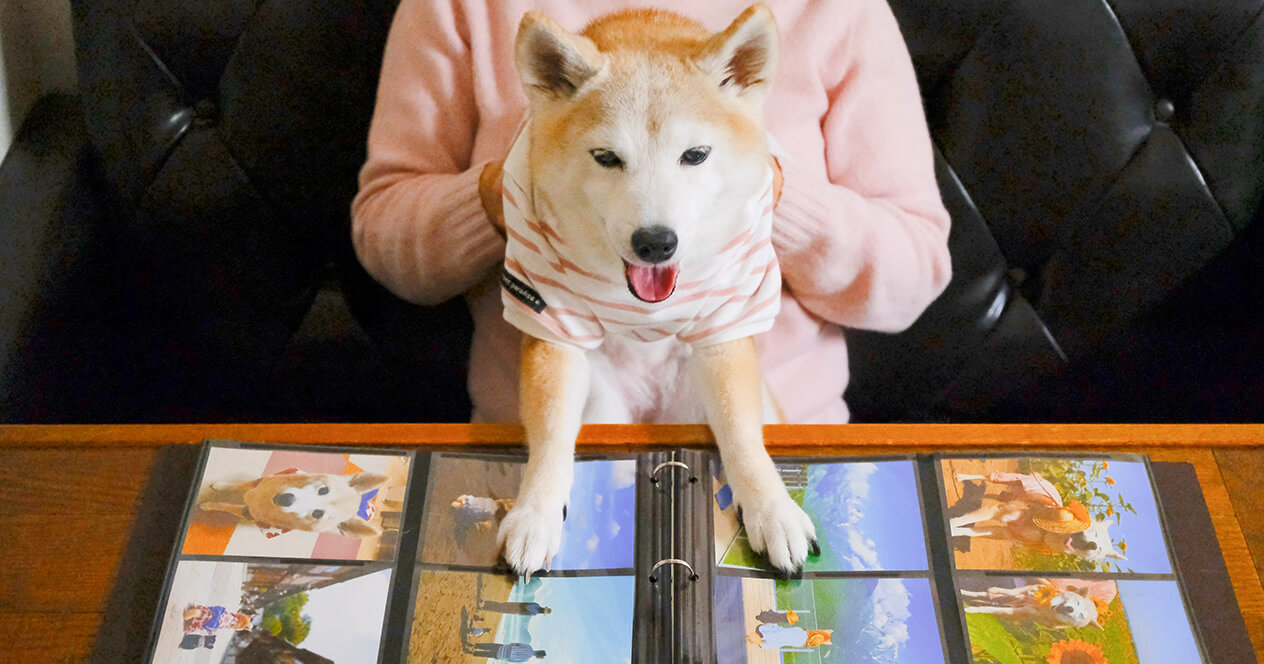 愛犬ゆりあちゃんが 「かぞくのきろく」でつくったアルバムを見ている写真