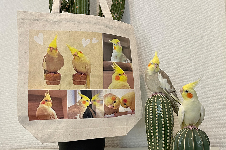 オカメインコの写真がプリントされたの写真入りオリジナルトートバッグとオカメインコ